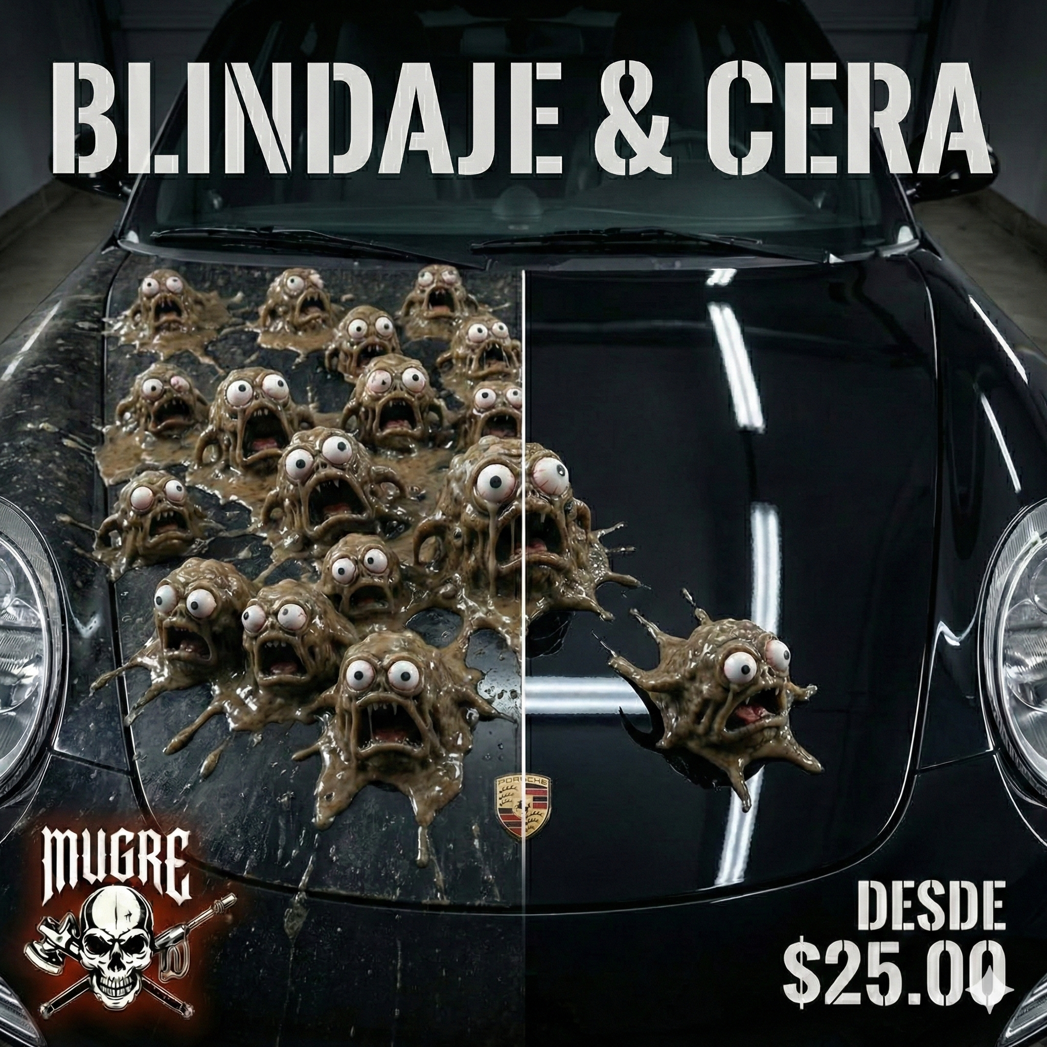 DESCONTAMINACIÓN & BLINDAJE